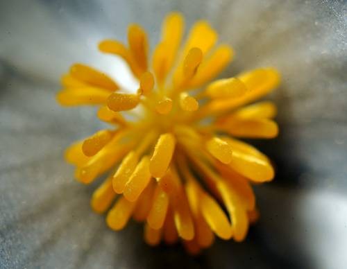 DSC05611
Фотограф: Сергей Буркацкий

Просмотров: 560
Комментариев: 0