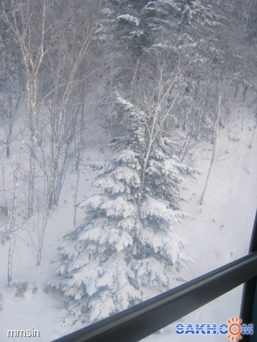 IMG_1642
Фотограф: mrnsin

Просмотров: 6038
Комментариев: 0