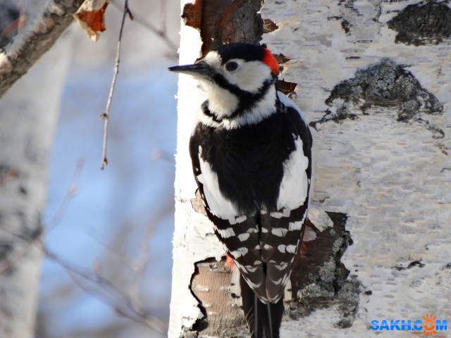 DSC02241

Просмотров: 591
Комментариев: 0