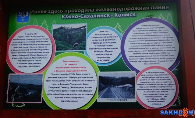 DSC05631 (3)