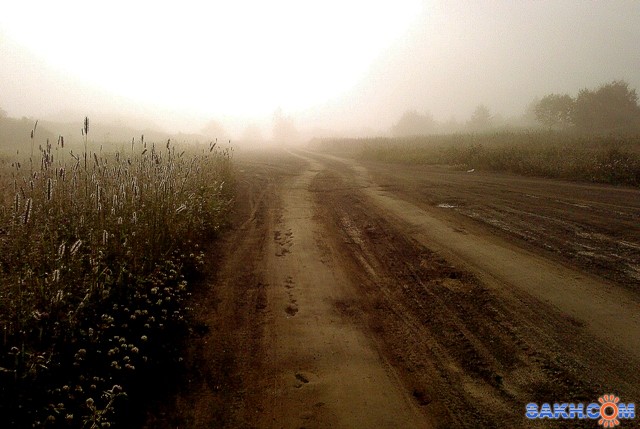 утро дорога
Фотограф: фотохроник

Просмотров: 2920
Комментариев: 0