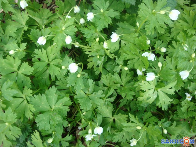 DSC02702

Просмотров: 5325
Комментариев: 0