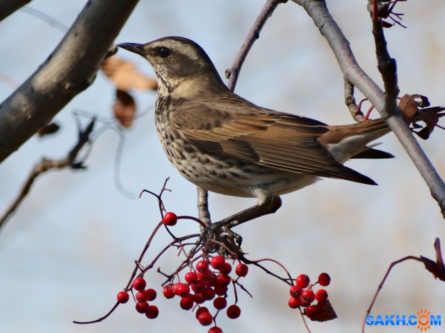 DSC01488

Просмотров: 708
Комментариев: 5
