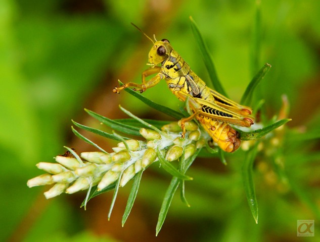 ***
Фотограф: Сергей Буркацкий

Просмотров: 837
Комментариев: 1