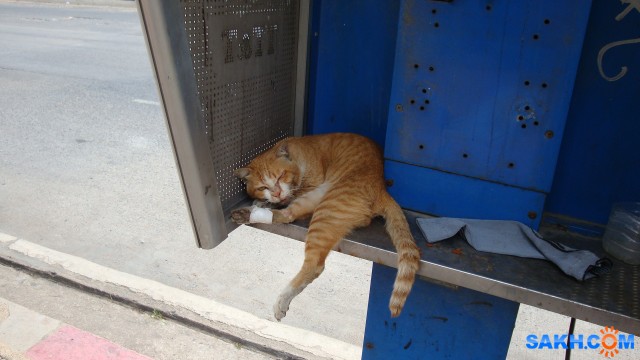 DSC03822

Просмотров: 665
Комментариев: 0