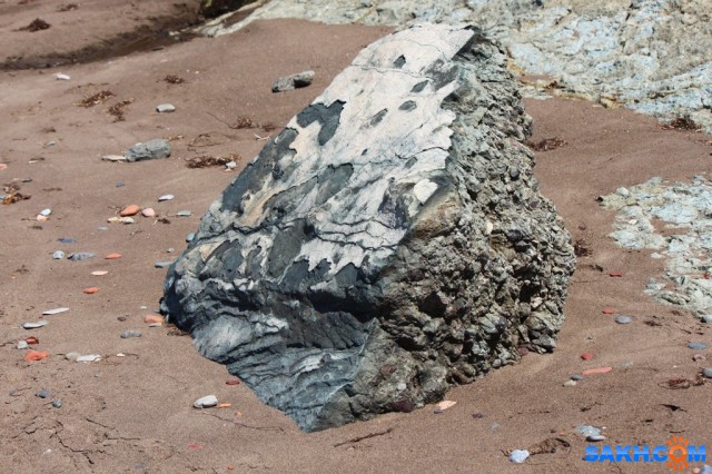 IMG_0833
Фотограф: vikirin

Просмотров: 1418
Комментариев: 0