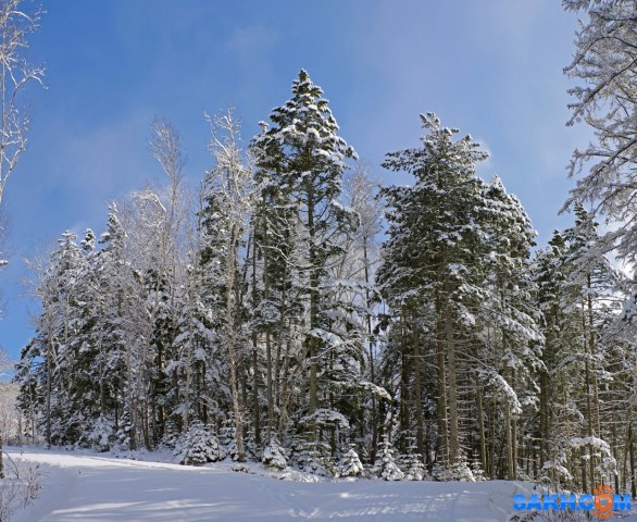 182-пан-к

Просмотров: 746
Комментариев: 0