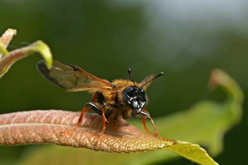 DSC07477
Фотограф: Сергей Буркацкий

Просмотров: 476
Комментариев: 0