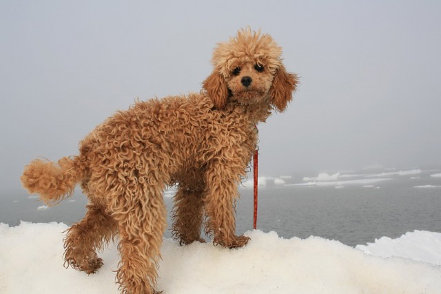 Фото 43

Просмотров: 2058
Комментариев: 1