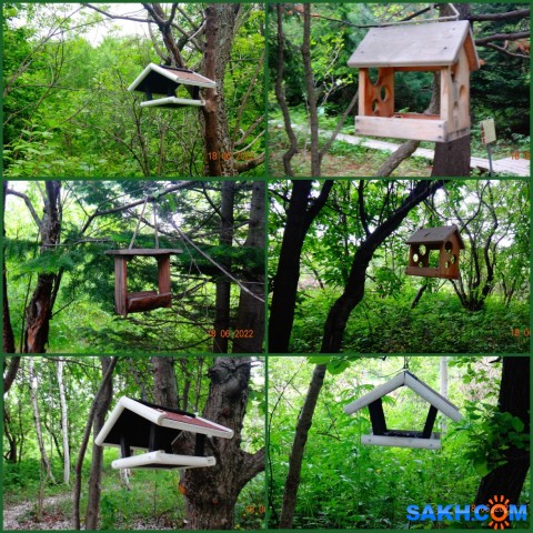 MyCollages

Просмотров: 327
Комментариев: 0