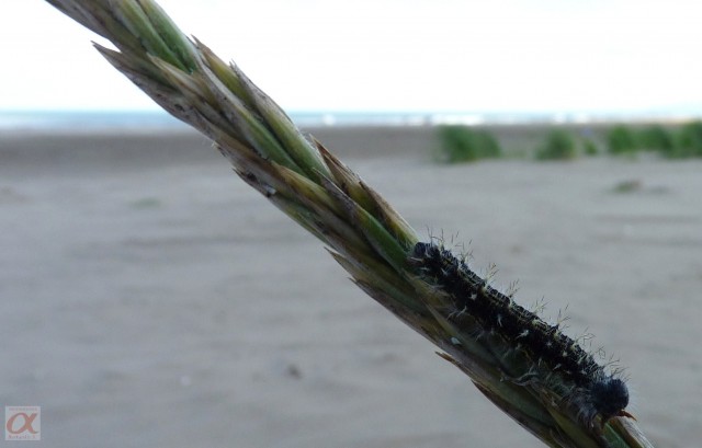 ***
Фотограф: Сергей Буркацкий

Просмотров: 841
Комментариев: 0