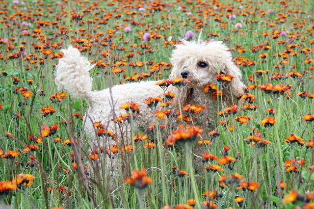 IMG_6449

Просмотров: 2291
Комментариев: 1