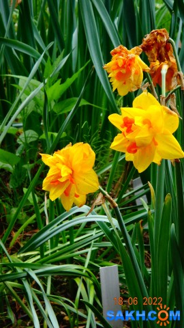 DSC09800