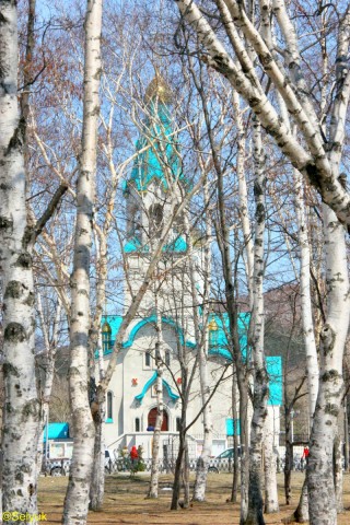 Берёзославие
Фотограф: АС-2й

Просмотров: 1533
Комментариев: 0