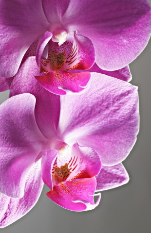 ***
Фотограф: Сергей Буркацкий

Просмотров: 1136
Комментариев: 0