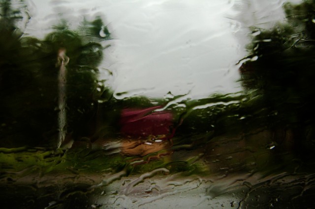 Дождь.

Просмотров: 708
Комментариев: 0