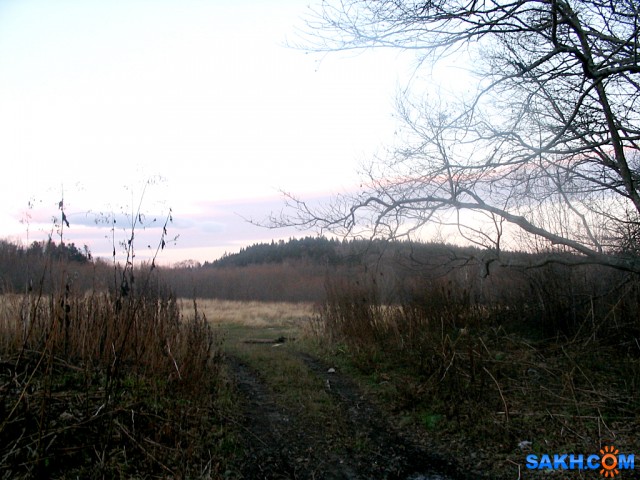 58

Просмотров: 356
Комментариев: 0