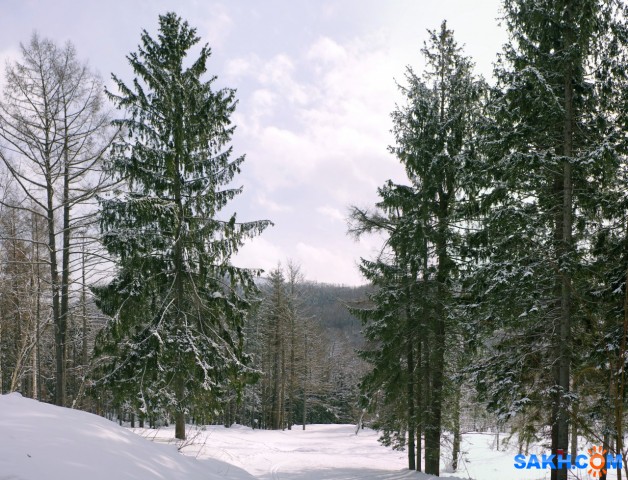 019 пан-к

Просмотров: 1156
Комментариев: 0