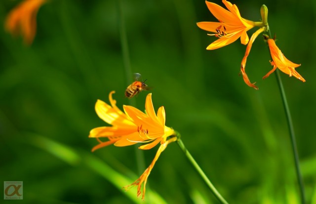 ***
Фотограф: Сергей Буркацкий

Просмотров: 668
Комментариев: 0