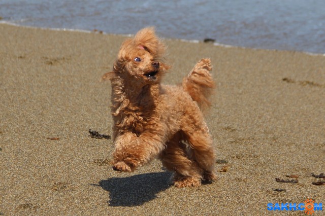 У моря

Просмотров: 621
Комментариев: 1