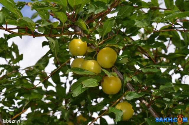 DSC_0046
Фотограф: NIK

Просмотров: 400
Комментариев: 0