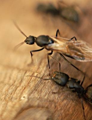 DSC05484
Фотограф: Сергей Буркацкий

Просмотров: 322
Комментариев: 0