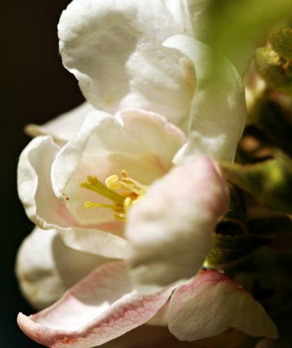 DSC05326
Фотограф: Сергей Буркацкий

Просмотров: 452
Комментариев: 0