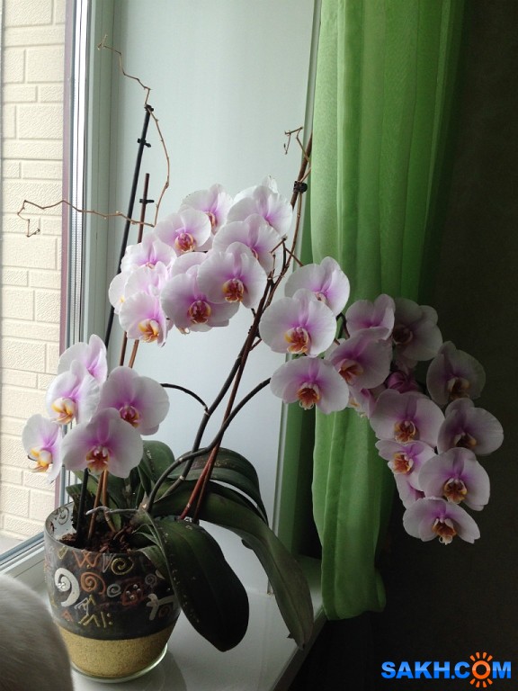 изображение_2020-12-07_162006

Просмотров: 887
Комментариев: 0