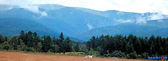 DSC01879