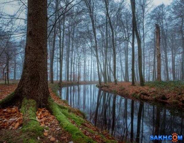 13

Просмотров: 283
Комментариев: 0