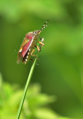 ***
Фотограф: Сергей Буркацкий

Просмотров: 1039
Комментариев: 0
