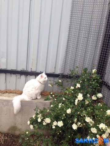 image (1)

Просмотров: 1337
Комментариев: 0