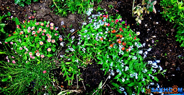DSC09488

Просмотров: 393
Комментариев: 0