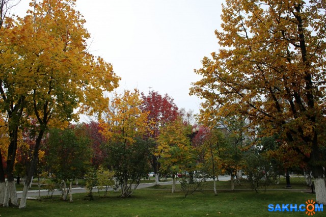 061-к

Просмотров: 462
Комментариев: 0