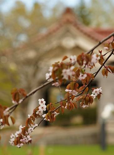 DSC04865
Фотограф: Сергей Буркацкий

Просмотров: 382
Комментариев: 0