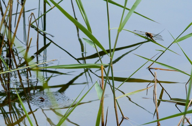 ***
Фотограф: Сергей Буркацкий

Просмотров: 847
Комментариев: 0