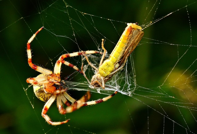 ***
Фотограф: Сергей Буркацкий

Просмотров: 608
Комментариев: 0