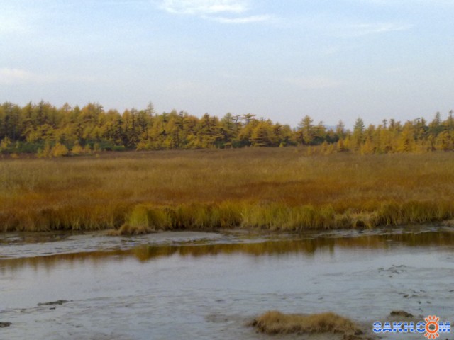 Октябрь на Лунском заливе