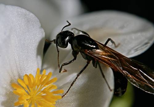 DSC05504
Фотограф: Сергей Буркацкий

Просмотров: 344
Комментариев: 0