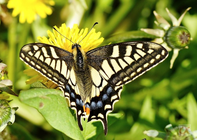 ***
Фотограф: Сергей Буркацкий

Просмотров: 1098
Комментариев: 0