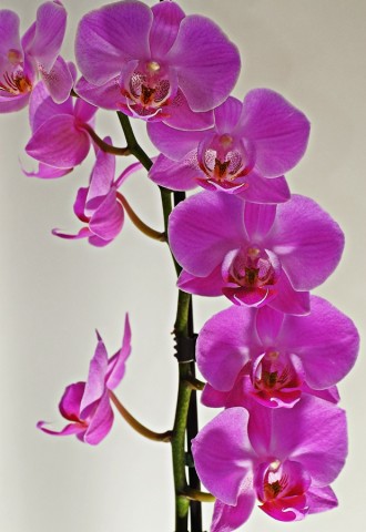 ***
Фотограф: Сергей Буркацкий

Просмотров: 777
Комментариев: 0