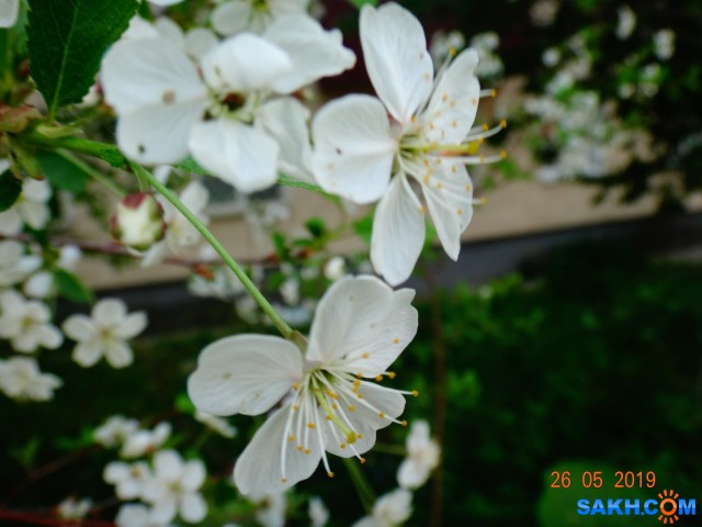 DSC07263

Просмотров: 696
Комментариев: 0