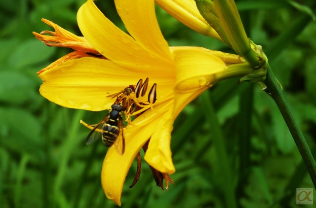 ***
Фотограф: Сергей Буркацкий

Просмотров: 729
Комментариев: 0