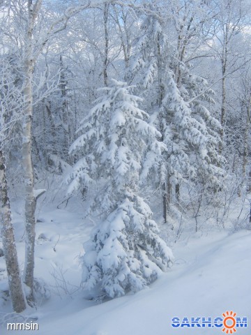 IMG_1667
Фотограф: mrnsin

Просмотров: 568
Комментариев: 0