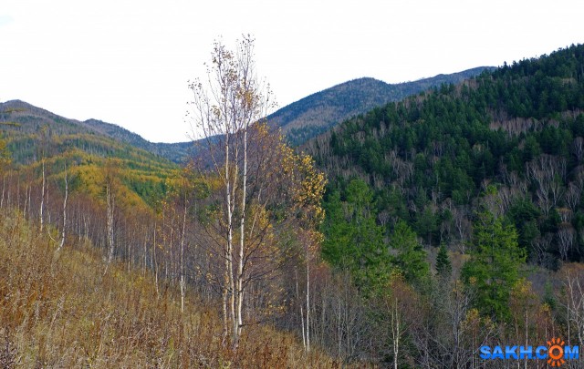 104-к

Просмотров: 569
Комментариев: 0