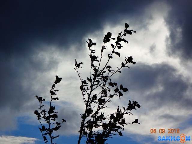 DSC07436

Просмотров: 893
Комментариев: 0