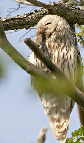 ***
Фотограф: Сергей Буркацкий

Просмотров: 1525
Комментариев: 0