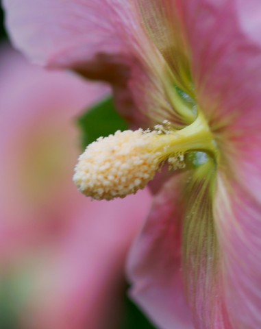 ***
Фотограф: Сергей Буркацкий

Просмотров: 966
Комментариев: 0