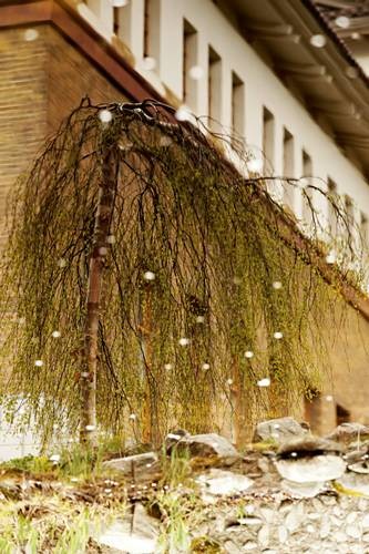 DSC04869
Фотограф: Сергей Буркацкий

Просмотров: 402
Комментариев: 0