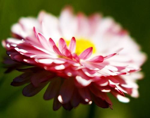 DSC05389
Фотограф: Сергей Буркацкий

Просмотров: 407
Комментариев: 0